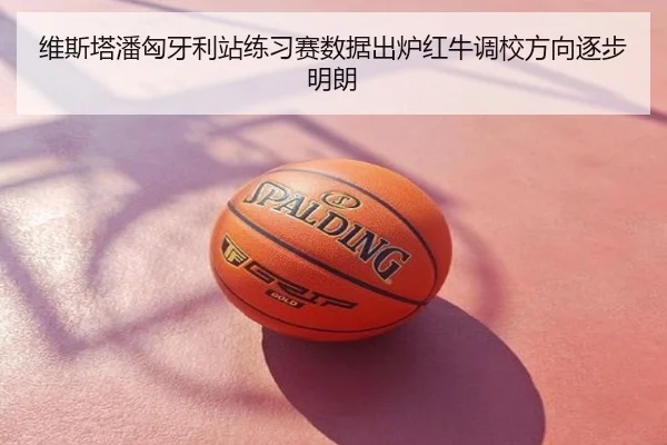 维斯塔潘匈牙利站练习赛数据出炉红牛调校方向逐步明朗