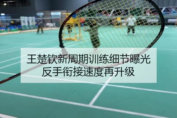 王楚钦新周期训练细节曝光 反手衔接速度再升级