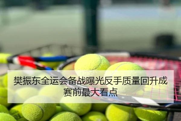 樊振东全运会备战曝光反手质量回升成赛前最大看点